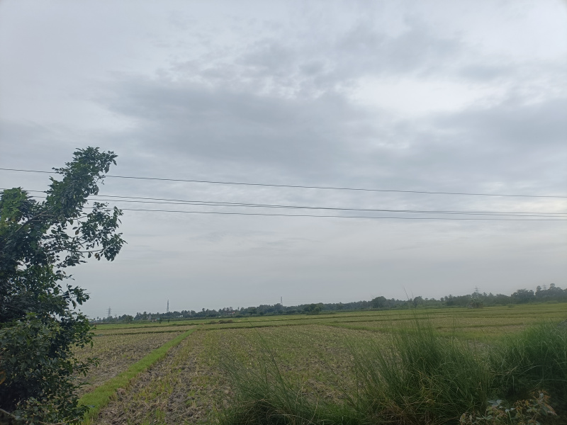  Agricultural Land 3 Acre for Sale in Cheyyur, Chengalpattu
