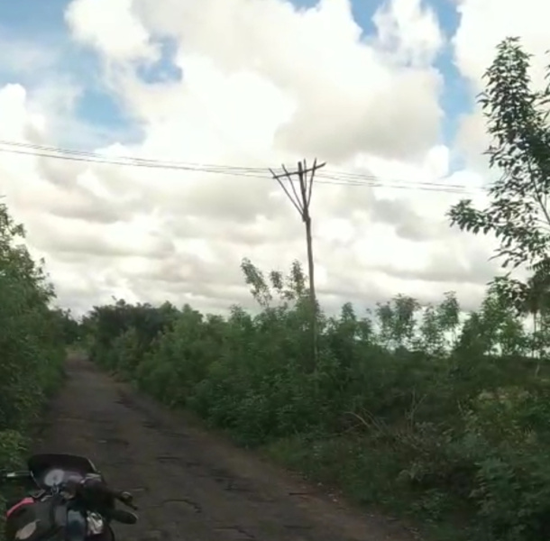  3 Acre Agricultural/Farm Land for Sale in Cheyyur, Chengalpattu