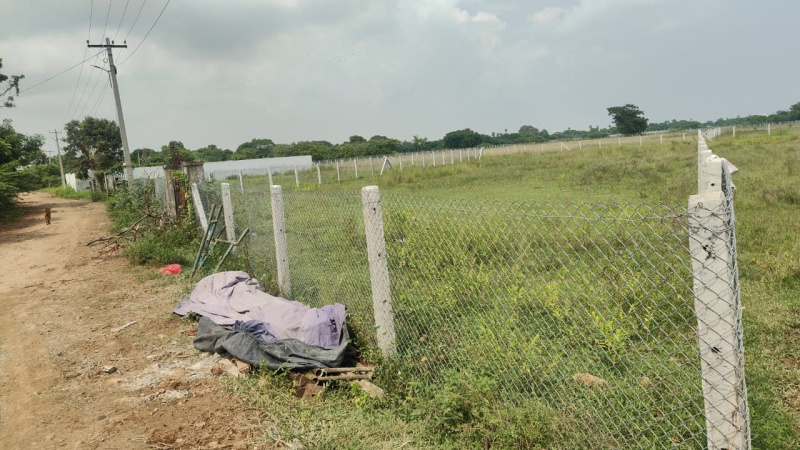  15600 Sq.ft. Agricultural/Farm Land for Sale in Tirukalukundram, Chengalpattu