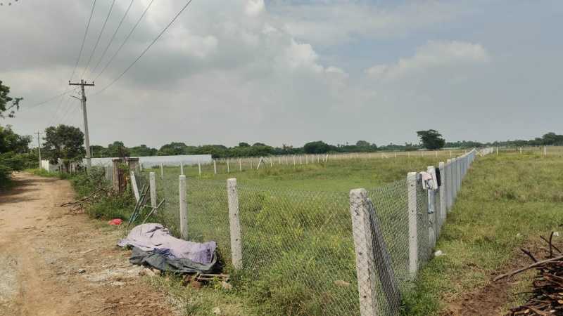  15600 Sq.ft. Agricultural/Farm Land for Sale in Tirukalukundram, Chengalpattu