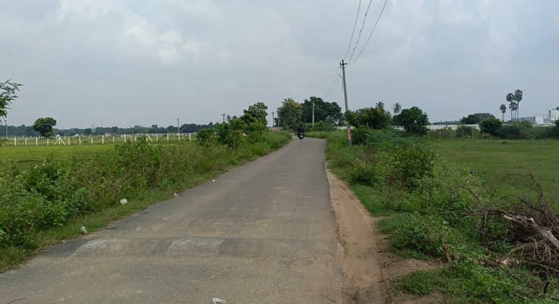  90 Cent Agricultural/Farm Land for Sale in Cheyyur, Chengalpattu