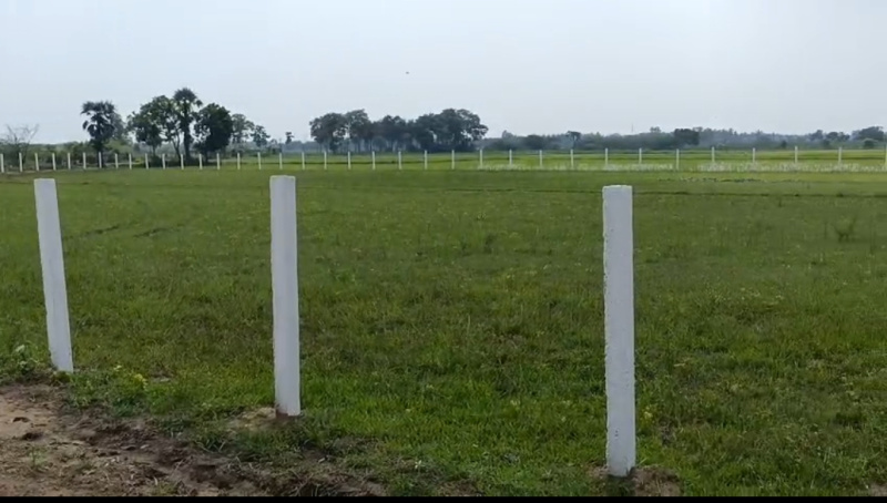  90 Cent Agricultural/Farm Land for Sale in Cheyyur, Chengalpattu