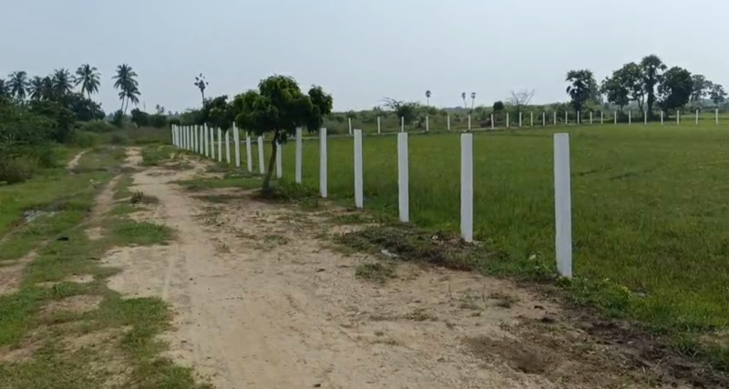  90 Cent Agricultural/Farm Land for Sale in Cheyyur, Chengalpattu