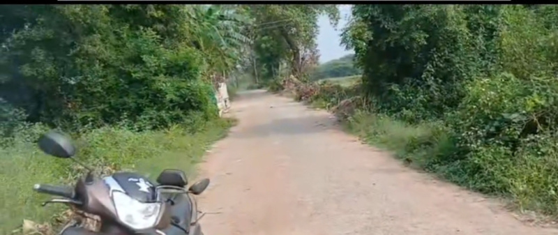  11 Acre Agricultural/Farm Land for Sale in Cheyyur, Chengalpattu