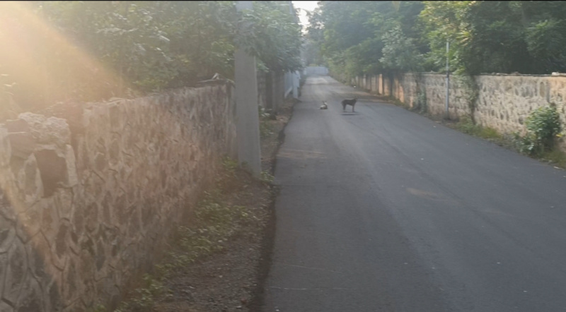  7200 Sq.ft. Residential Plot for Sale in Akkarai, Chennai