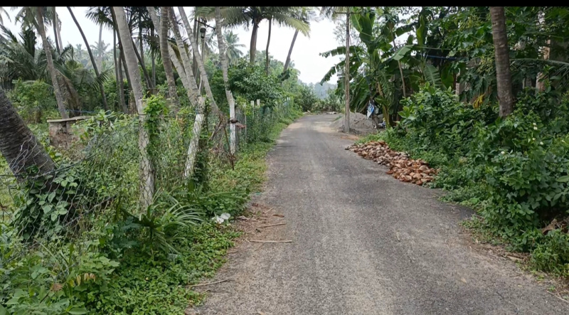  23 Cent Agricultural/Farm Land for Sale in Pulipakkam, Chengalpattu