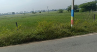  Agricultural Land for Sale in Pulipakkam, Chengalpattu