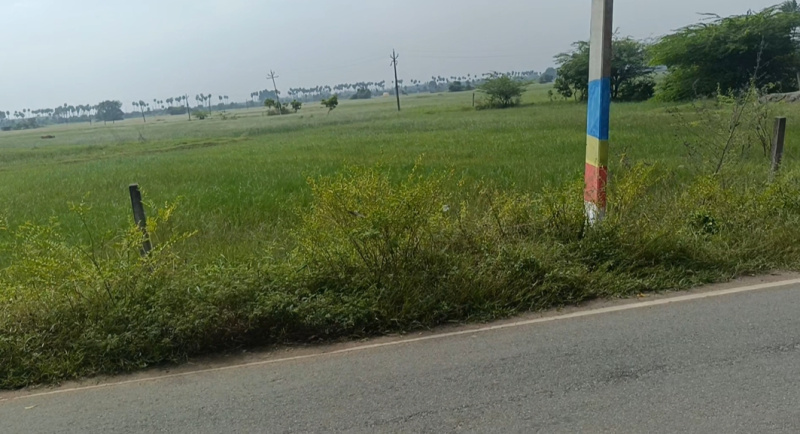  53 Acre Agricultural/Farm Land for Sale in Pulipakkam, Chengalpattu