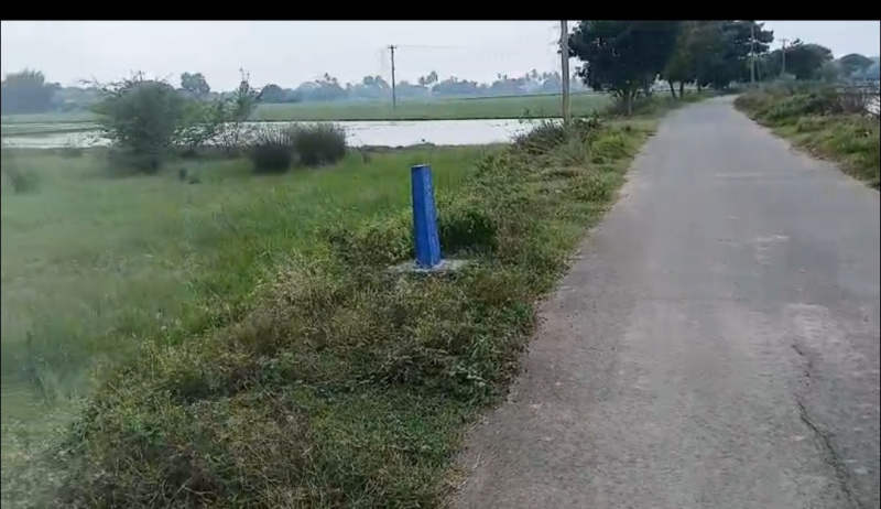  60 Cent Agricultural/Farm Land for Sale in Maduranthakam, Chengalpattu