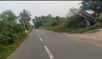 Agricultural Land for Sale in Pudupattinam, Chengalpattu