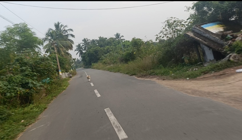  1 Acre Agricultural/Farm Land for Sale in Pudupattinam, Chengalpattu