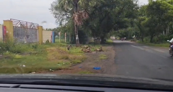  Agricultural Land for Sale in Cheyyur, Chengalpattu