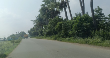 Commercial Land for Sale in Cheyyur, Chengalpattu