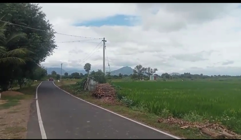  4 Acre Agricultural/Farm Land for Sale in Adi Annamalai, Tiruvannamalai