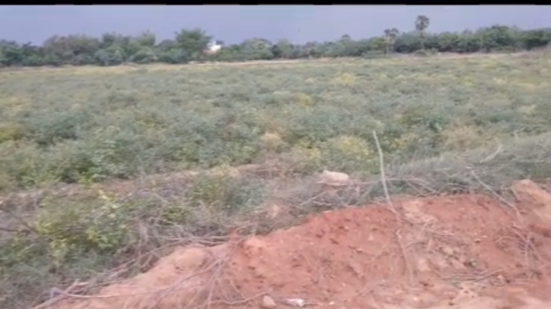  9 Acre Commercial Land for Sale in Tirukalukundram, Chengalpattu