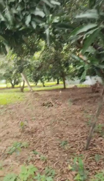 1 BHK 2 Acre Farm House for Sale in Edaikazhinadu, Kanchipuram