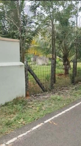1 BHK 2 Acre Farm House for Sale in Edaikazhinadu, Kanchipuram