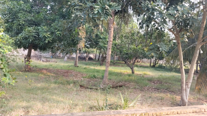  13800 Sq.ft. Commercial Land for Sale in Edaikazhinadu, Kanchipuram