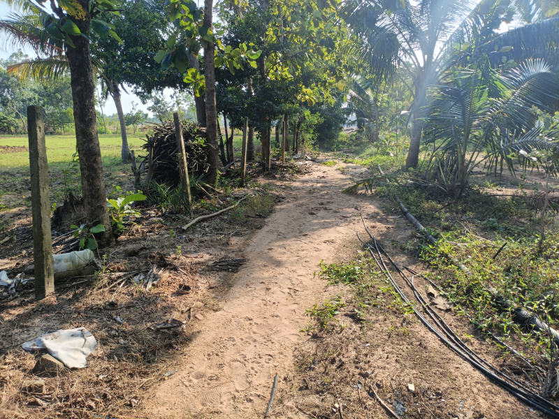  3 Acre Agricultural/Farm Land for Sale in East Pondy Road, Villupuram