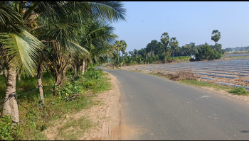Agricultural Land for Sale in East Pondy Road, Villupuram