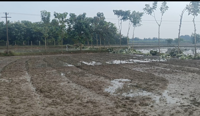  5 Acre Agricultural/Farm Land for Sale in Maduranthakam, Chengalpattu