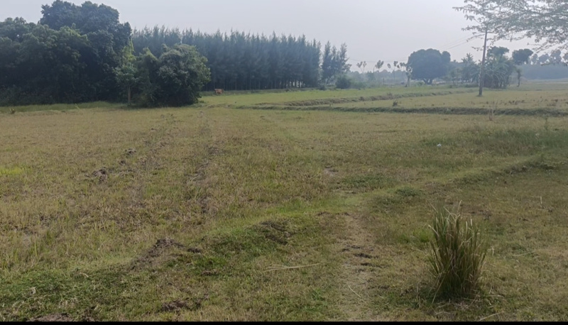  5 Acre Agricultural/Farm Land for Sale in Maduranthakam, Chengalpattu
