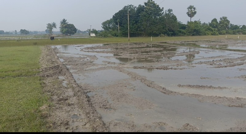  12 Acre Agricultural/Farm Land for Sale in Uthiramerur, Kanchipuram