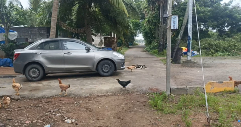  5 Acre Agricultural/Farm Land for Sale in Koovathur, Kanchipuram