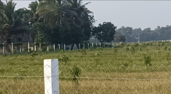  Agricultural Land for Sale in Koovathur, Kanchipuram