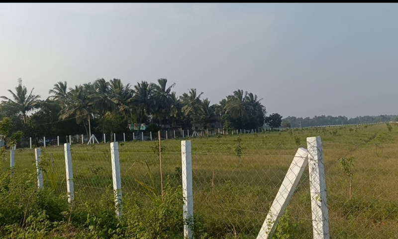  20 Acre Agricultural/Farm Land for Sale in Koovathur, Kanchipuram