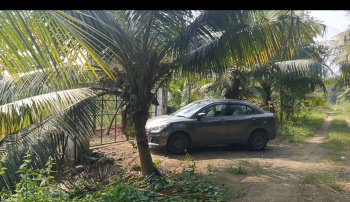 Agricultural Land for Sale in Cheyyur, Chengalpattu