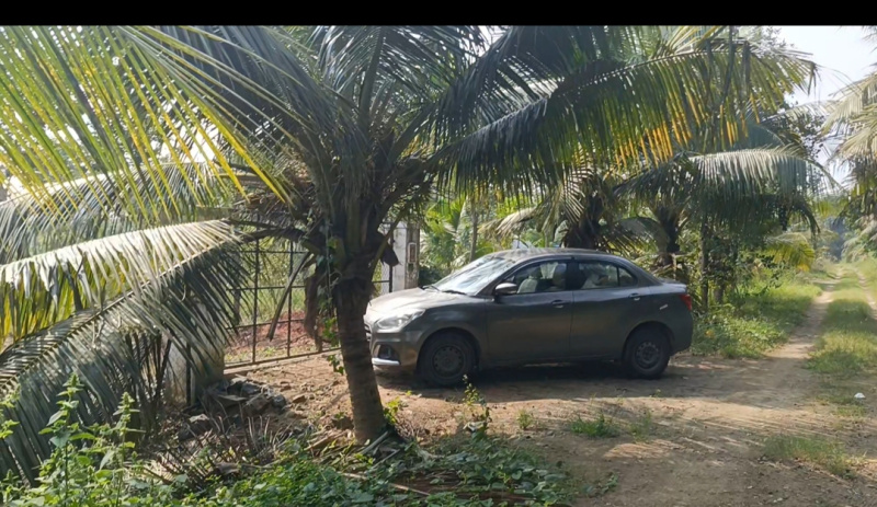  10 Acre Agricultural/Farm Land for Sale in Cheyyur, Chengalpattu