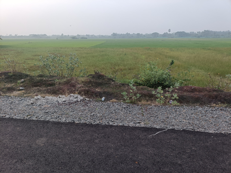  17 Cent Commercial Land for Sale in Koovathur, Kanchipuram