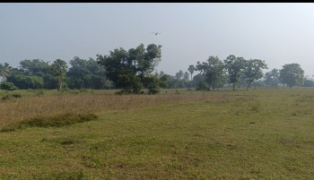  Agricultural Land for Sale in Koovathur, Kanchipuram