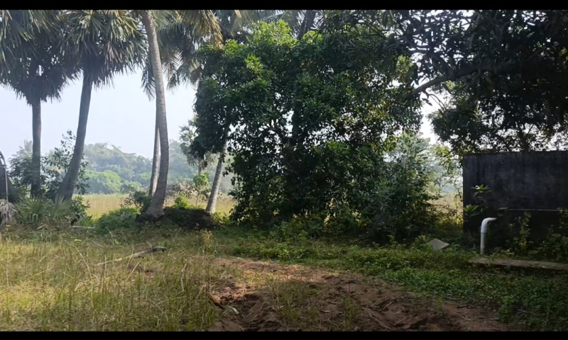  1 Acre Agricultural/Farm Land for Sale in Koovathur, Kanchipuram