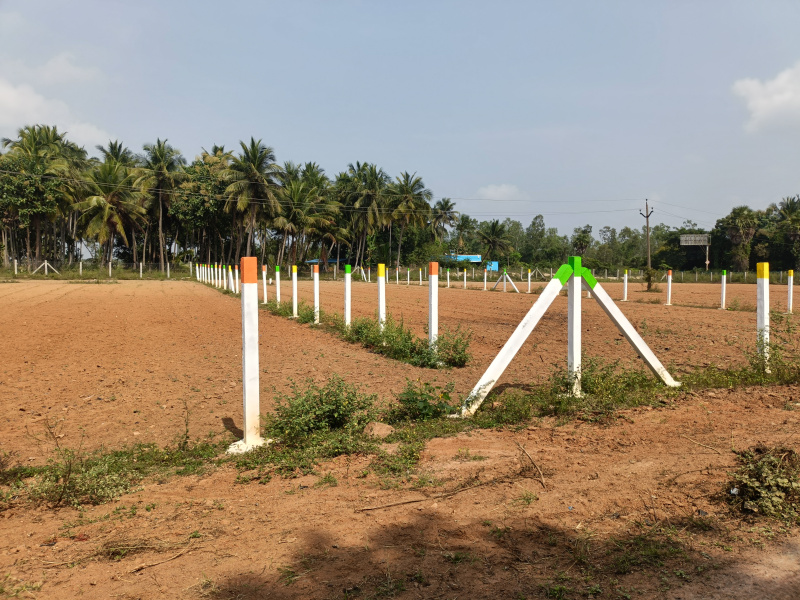  25 Cent Commercial Land for Sale in Koovathur, Kanchipuram