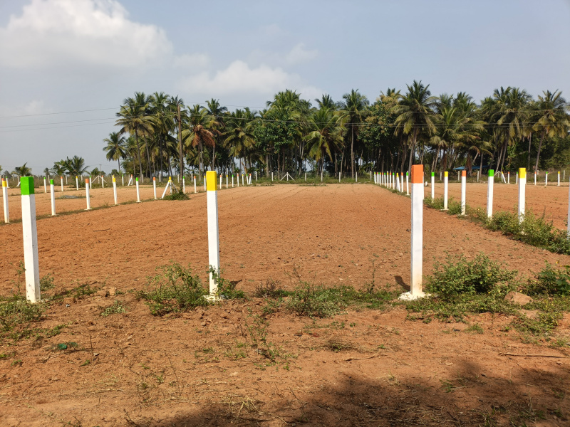 25 Cent Commercial Land for Sale in Koovathur, Kanchipuram