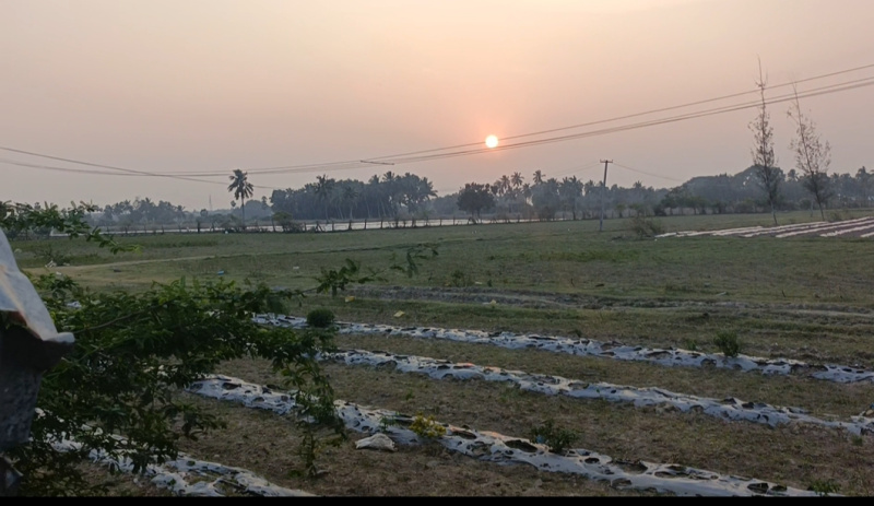  33 Acre Agricultural/Farm Land for Sale in East Pondy Road, Villupuram