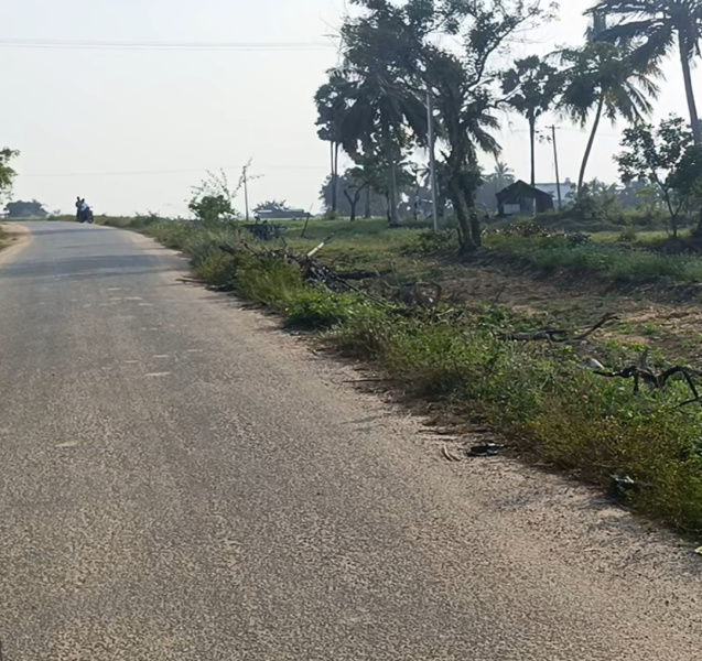  10 Acre Agricultural/Farm Land for Sale in East Pondy Road, Villupuram