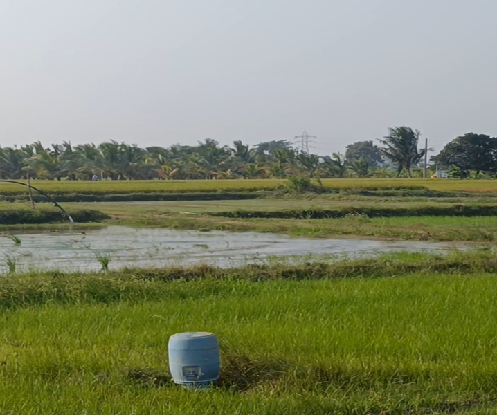  10 Acre Agricultural/Farm Land for Sale in East Pondy Road, Villupuram