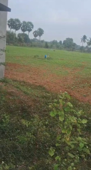 Agricultural Land for Sale in Cheyyur, Chengalpattu
