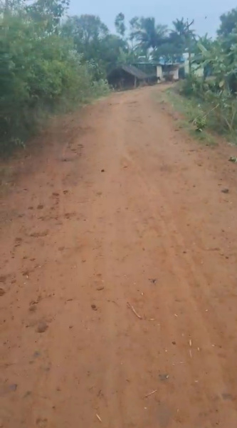  3 Acre Agricultural/Farm Land for Sale in Cheyyur, Chengalpattu