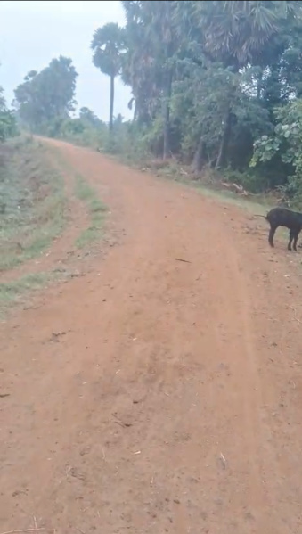  3 Acre Agricultural/Farm Land for Sale in Cheyyur, Chengalpattu