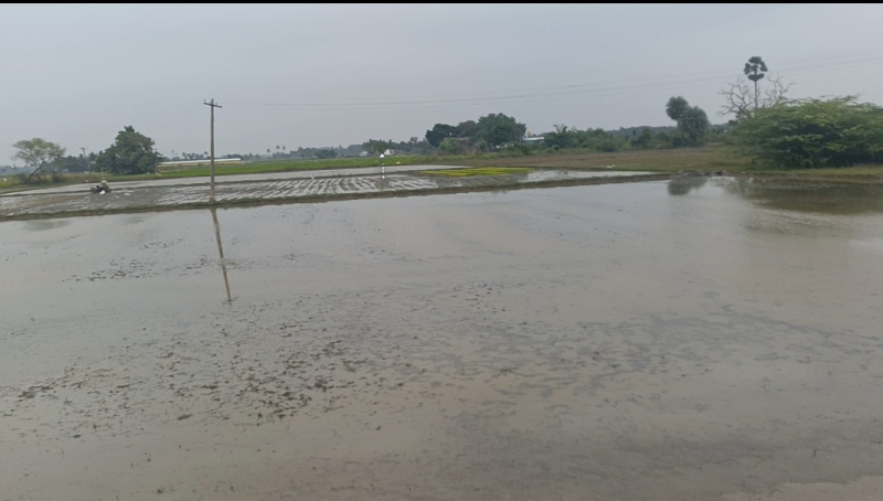  4 Acre Agricultural/Farm Land for Sale in Koovathur, Kanchipuram