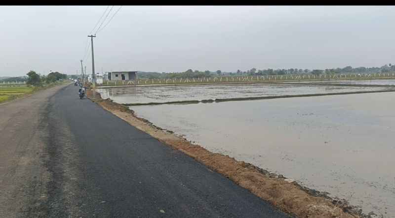  4 Acre Agricultural/Farm Land for Sale in Koovathur, Kanchipuram