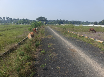  Commercial Land for Sale in Koovathur, Kanchipuram