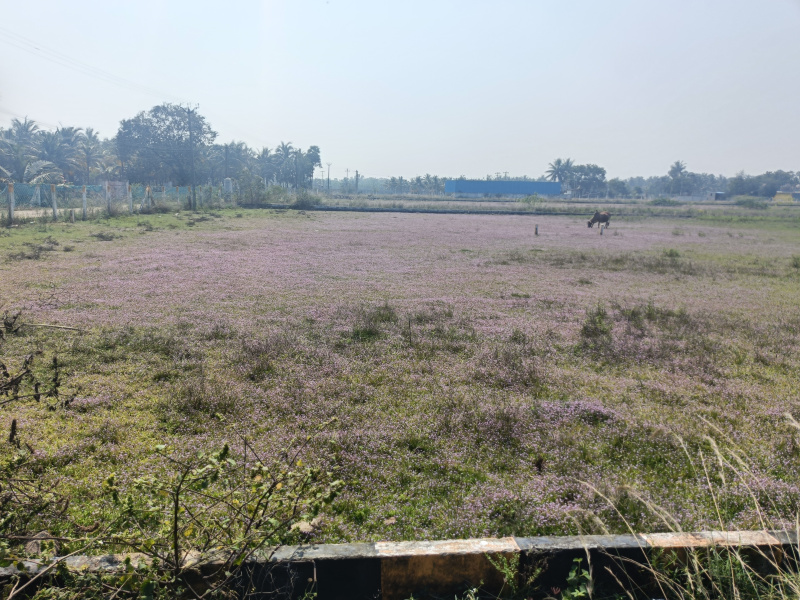  6000 Sq.ft. Commercial Land for Sale in Koovathur, Kanchipuram