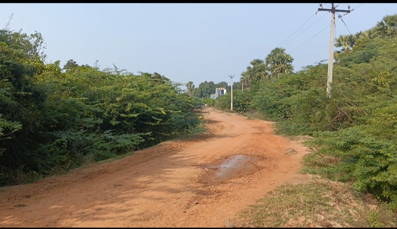  150 Acre Agricultural/Farm Land for Sale in East Pondy Road, Villupuram