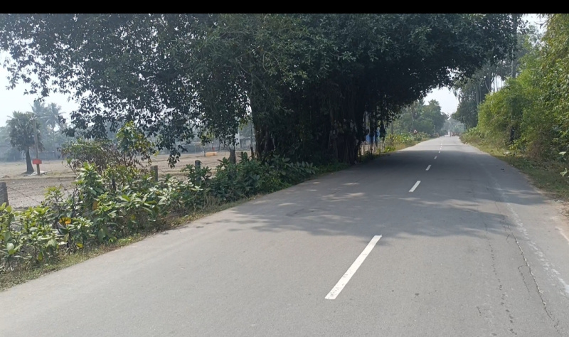  10 Acre Agricultural/Farm Land for Sale in Cheyyur, Chengalpattu