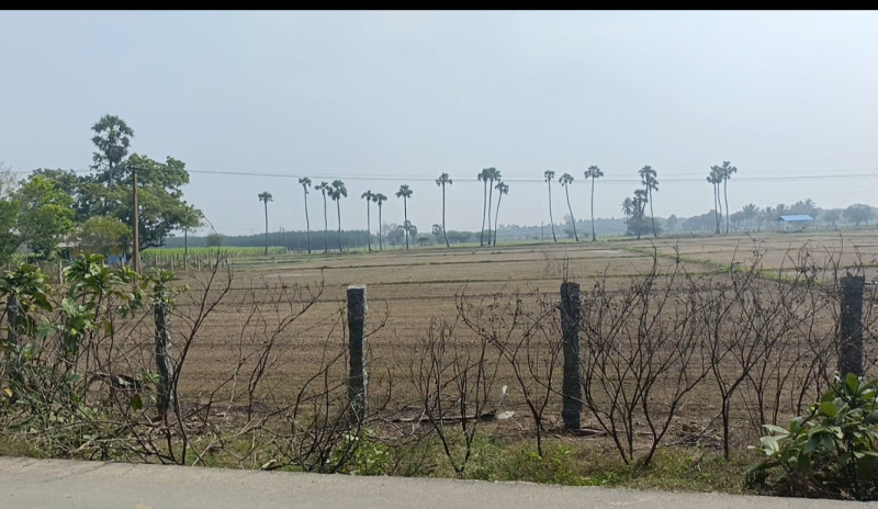 10 Acre Agricultural/Farm Land for Sale in Cheyyur, Chengalpattu